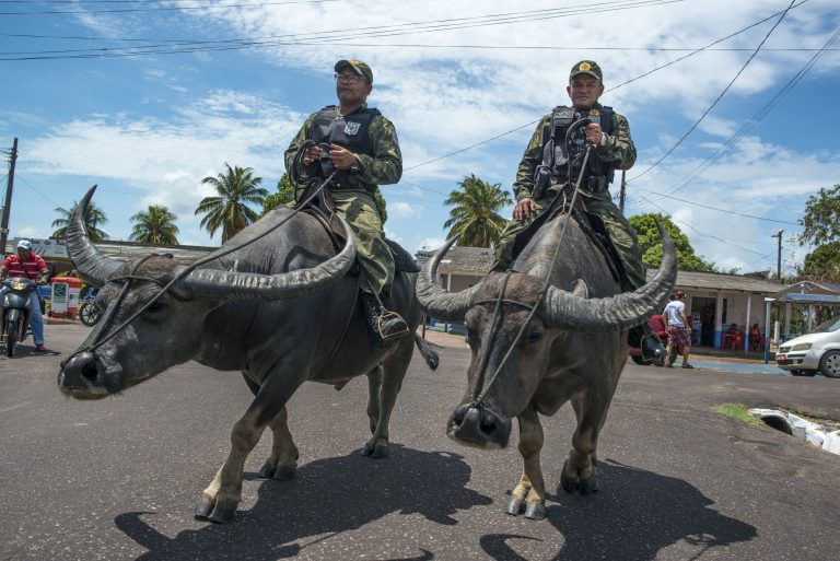 Buffalo Soldiers