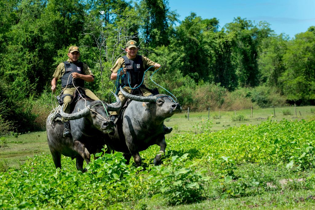 Buffalo Soldiers