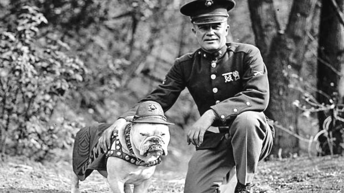 Chesty Puller Quotes 10 Of The Best Reaper Feed